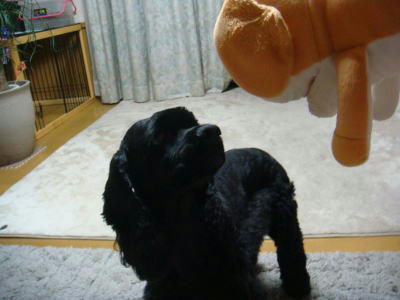 DSC01337.JPG