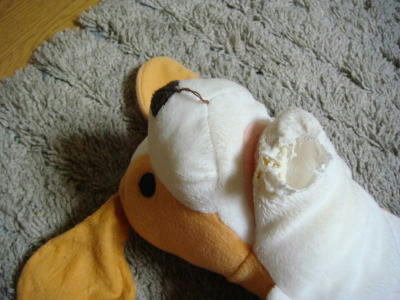 DSC01334.JPG