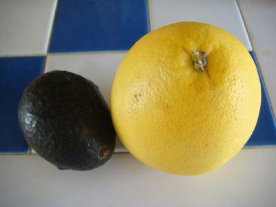 DSC01406.JPG