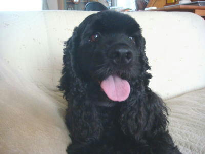 DSC01411-1.JPG