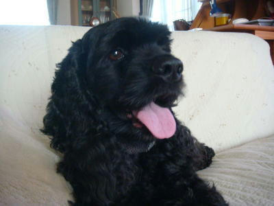 DSC01413-1.JPG
