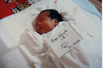 sho0001m.jpg