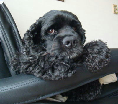 DSC01488-1.JPG