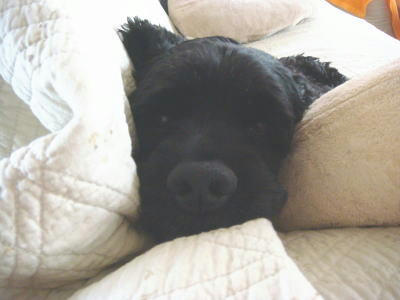 DSC01492.JPG