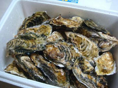 09.02.12_400.jpg