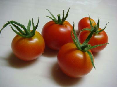 09.07.23-3_400.jpg