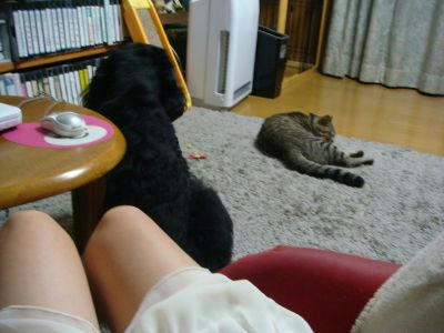 09.08.10-5_400.jpg