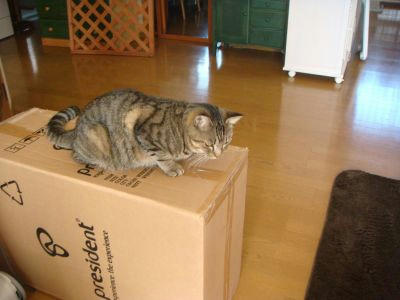 09.10.11-4_400.jpg