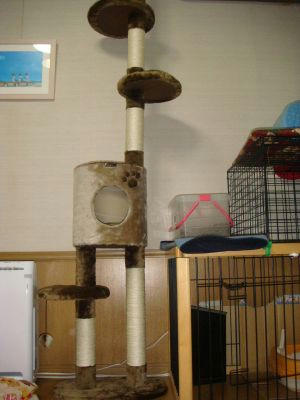 09.12.11-6_400.jpg
