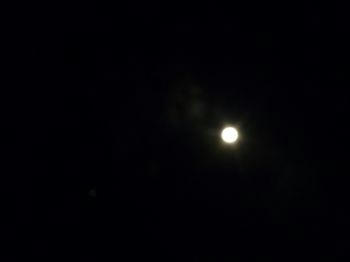 10.09.22-6_350.jpg