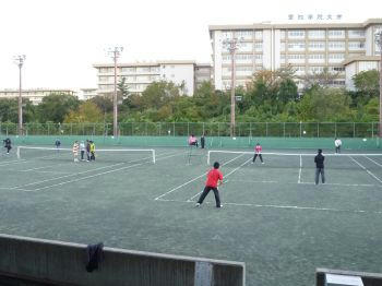 10.11.03-4_350.jpg