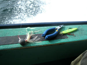 IMG_0069.jpg