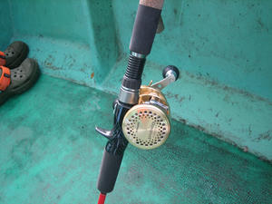 IMG_0070.jpg