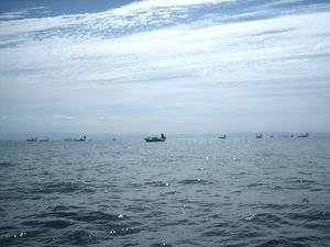 IMG_0075.jpg
