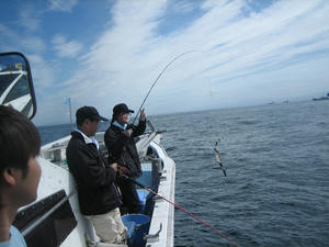 IMG_0081.jpg