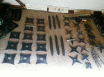 F1004310.jpg
