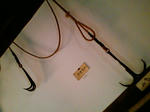 F1004311.jpg