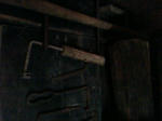 F1004316.jpg