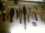 F1004298.jpg