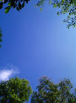F1004043.JPG