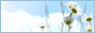 05.gif