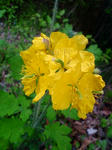 F1000087.JPG