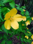 F1000085.JPG
