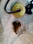 20090708234144.jpg