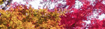 1255710547.gif