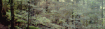1255710678.gif