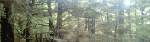 1255710731.gif