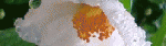 1255711015.gif