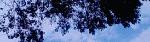 1255711057.gif