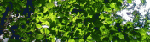 1255711142.gif
