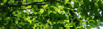 1255711152.gif