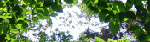 1255711205.gif