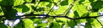 1255711277.gif