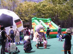 keyakiRIMG0055.jpg