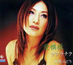 6061a122.jpg