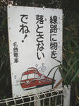 image6.jpg