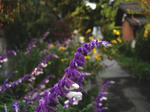 image9.jpg
