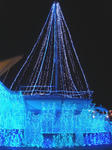 12-29-03.jpg