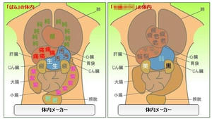 20070921-pafu.jpg