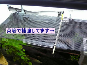 6d7277ccjpeg