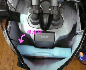 d3929161jpeg