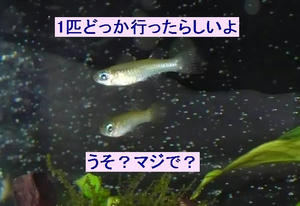 297e3b83.jpeg