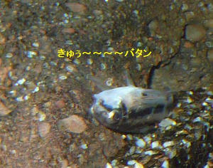 61779b1a.jpeg