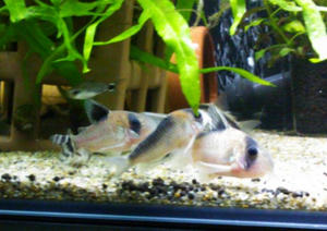 20121114-01.jpg