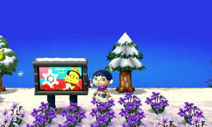 20130226-001.jpg