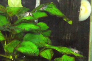 20130228-01.jpg